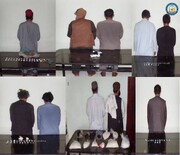 ۱۰ تن فروشنده مواد مخدر در هرات بازداشت شدند
