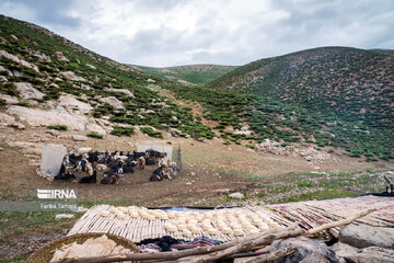 عشایر بختیاری