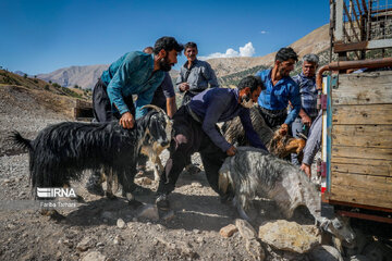 عشایر بختیاری