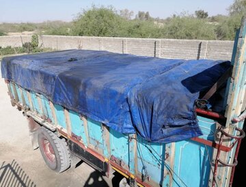 ۲ دستگاه کامیون حامل ۶۰ هزار لیتر گازوئیل قاچاق در کرمان متوقف شدند