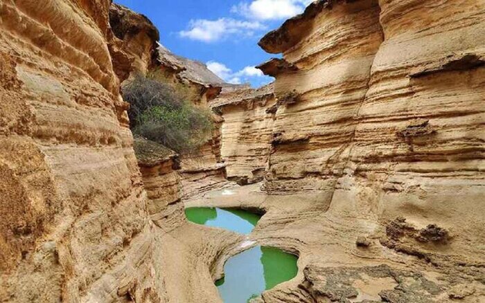 به «عروس کویر» خوشآمدید