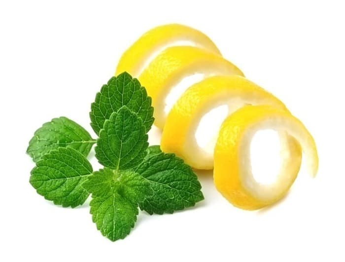 رفع بوی غذا از خانه با تکنیکهای فوری