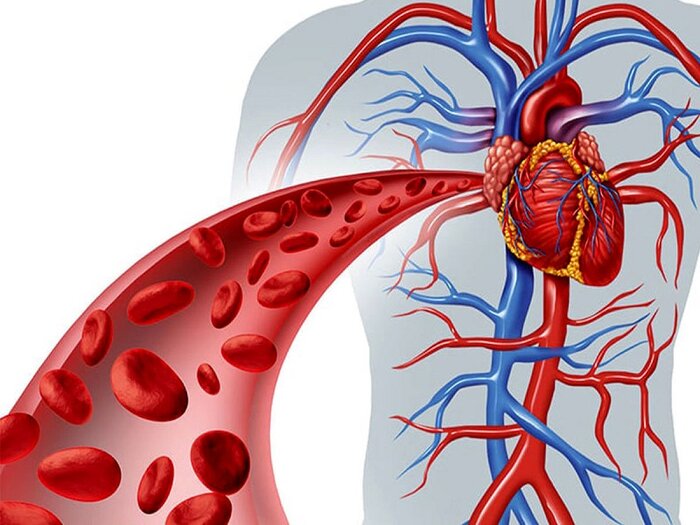 چرا همیشه احساس سرما می کنم؟