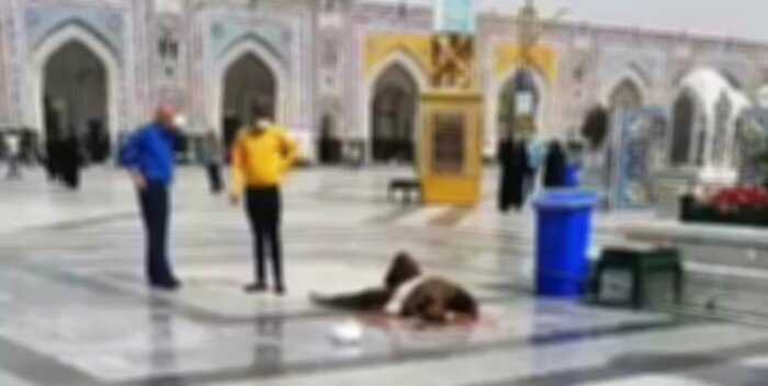 تاملی در چرایی جنایات تروریستها در حرمهای اهل بیت (ع)