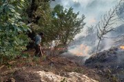 اطفای آتش جنگل ارتفاعات نیلکوه گالیکش به روز پنجم کشیده شد
