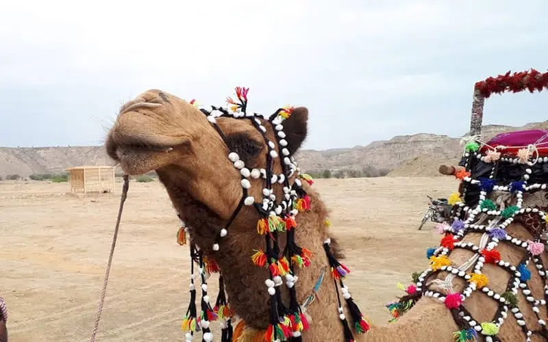 دره ستارگان قشم؛ راز آواهای ترسناک