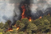 بیش از ۱۵ هکتار از جنگل‌ها و مراتع باشت در آتش سوخت