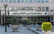 درخواست اتاق اصناف ایران برای حل مسائل هیات‌های حل اختلاف مالیاتی