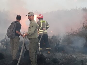 عوامل طبیعی و انسانی علت آتش سوزی‌های اخیر در بوجاق گیلان است