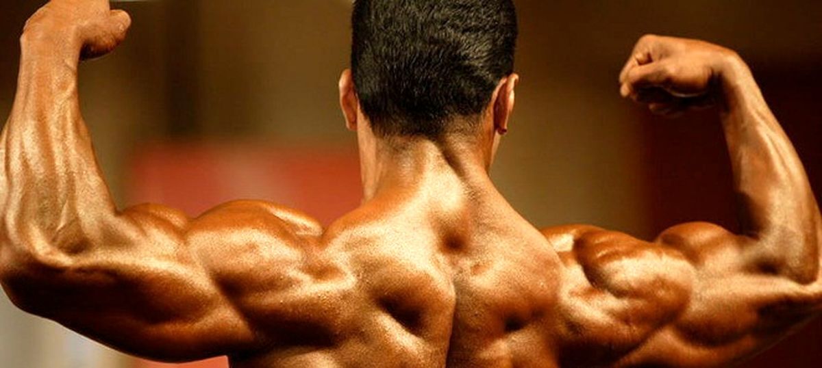 فعالیت دوباره باشگاه‌های بدنسازی در البرز؛ شور تمرین‌ها در میان یک میلیون ورزشکار