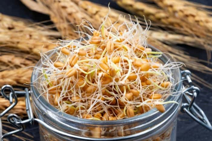 غلاتی که هرگز نباید خام خورده شود