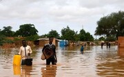جاری شدن سیل در نیجر ۲۷ کشته برجای گذاشت