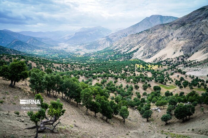 پاسداری از منابع طبیعی فارس؛ از مدیریت مراتع تا تدابیر برای کاهش آتش‌سوزی جنگل‌ها