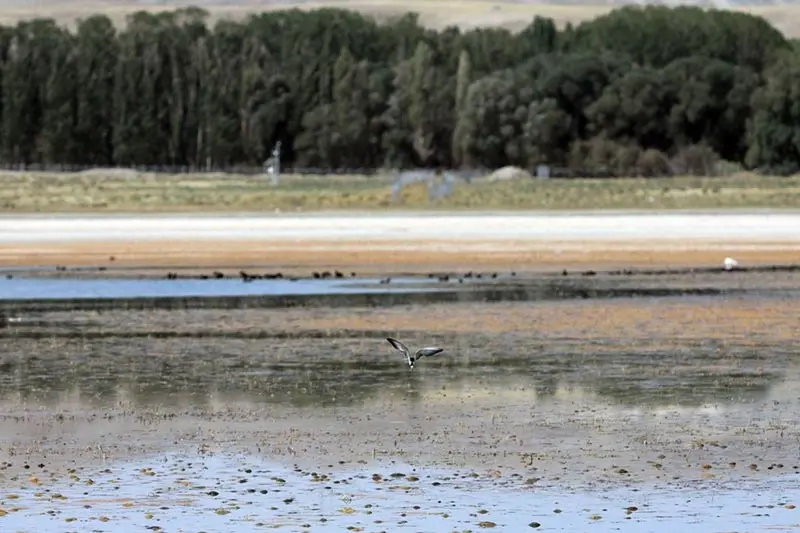 قوری گل؛ تالاب زیبای آذربایجان شرقی