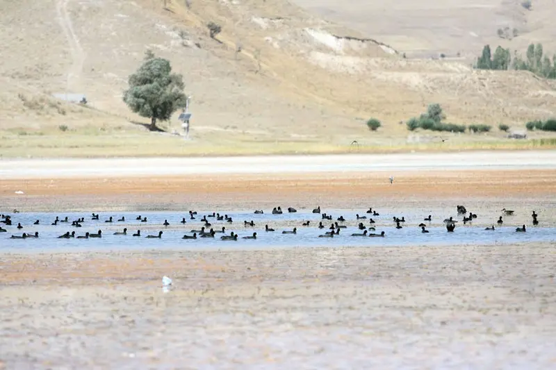 قوری گل؛ تالاب زیبای آذربایجان شرقی