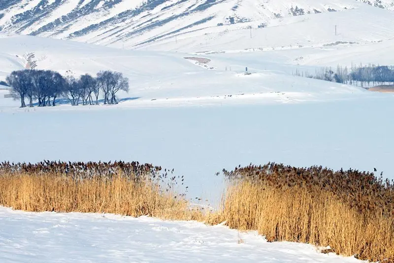 قوری گل؛ تالاب زیبای آذربایجان شرقی