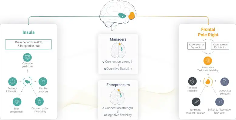 دانشمندان علت موفقیت کارآفرینان را رمزگشایی کردند