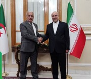 قاليباف: سيتم تفعيل اللجنة الاقتصادية الإيرانية -الجزائرية في أسرع وقت ممكن