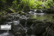 «آب گرم بلیران» نگینی در قلب جنگل‌های هیرکانی +فیلم