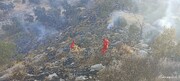بیش از ۱۱ هکتار از جنگل‌ها و مراتع باشت در آتش سوخت