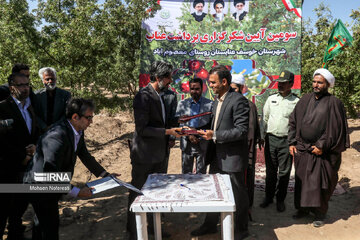 Thanksgiving for harvest of jujube in east Iran