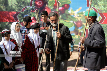 Thanksgiving for harvest of jujube in east Iran