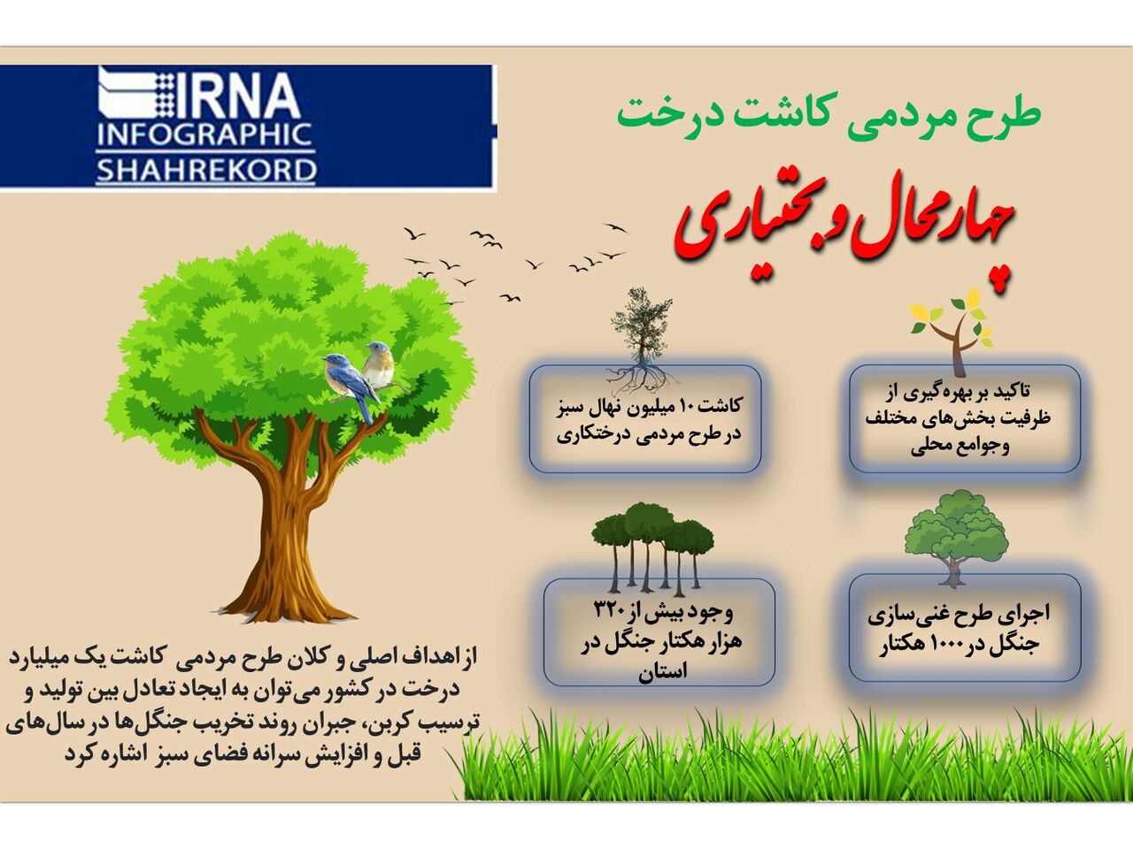 اینفوگرافیک/ کاشت درخت در طرح مردمی