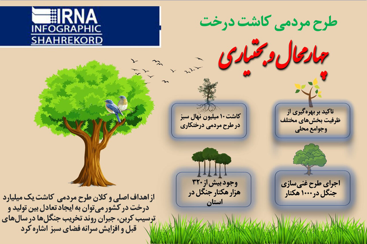 اینفوگرافیک اصلی کاشت درخت