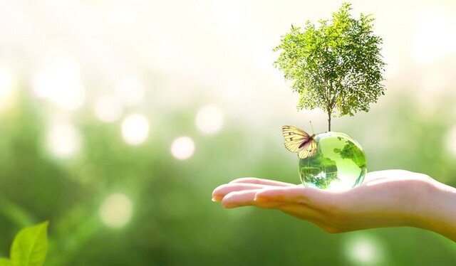 حضور مقامات عالیرتبه ۱۲ کشور درگیر گردوغبار تا تعیین تکلیف ۴۱۱ پروژه بدون مجوز محیطزیست