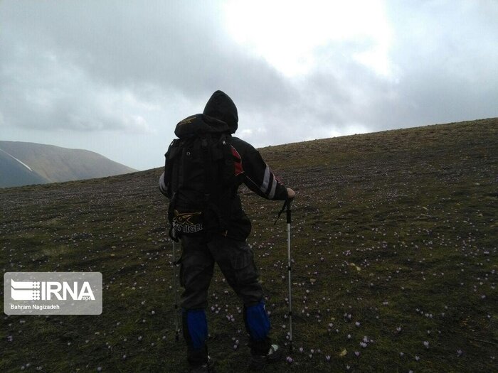 مسیر جدید کوهنوردی در علم کوه توسط گردشگران آلمانی