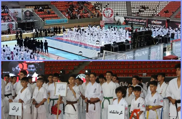 تاریخسازی ورزش ملایر در دولت سیزدهم با کسب ۱۶۰ مدال ملی و جهانی