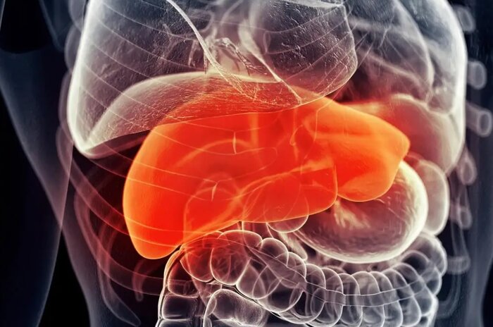 طراحی الگوریتمی برای تسهیل تصمیمگیری و درمان بیماران سرطان کبدی