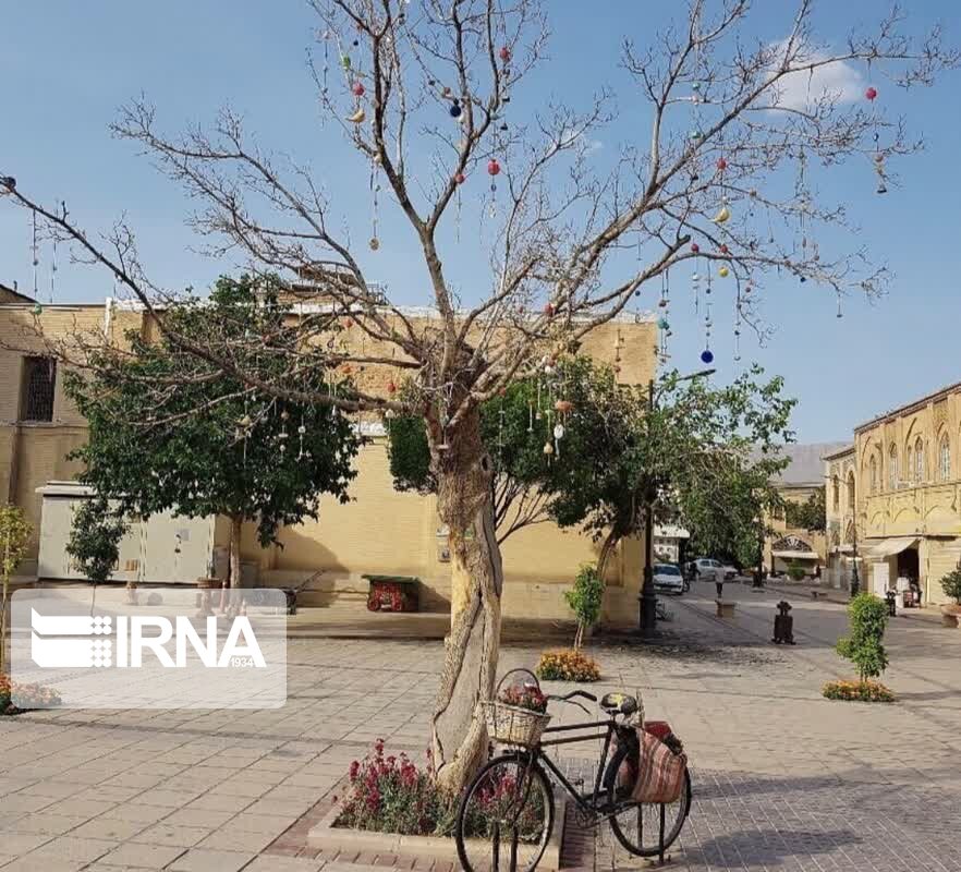 ماجرای قطع درخت آرزوها در شیراز چیست؟