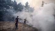 آتش سوزی وسیع در غرب ترکیه/ ۱۰ روستا تخلیه شد+فیلم