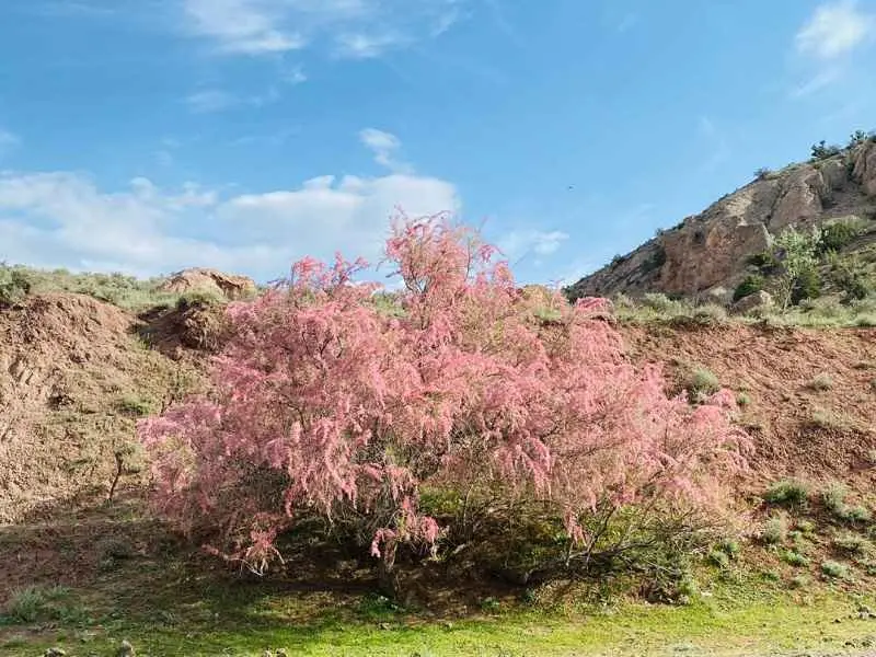۲۰ تا از بهترین روستاهای گیلان برای سفر