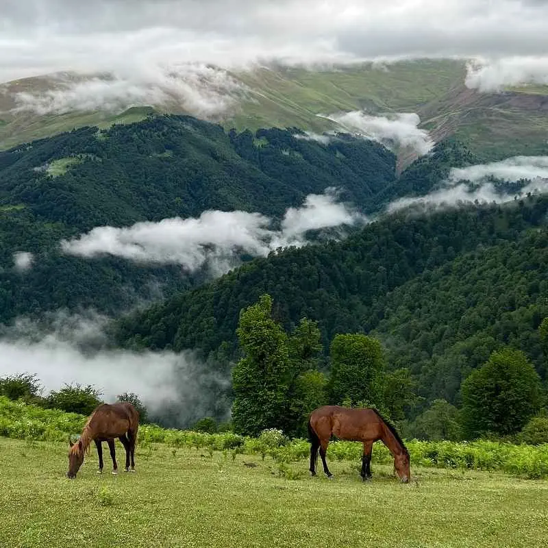 ۲۰ تا از بهترین روستاهای گیلان برای سفر