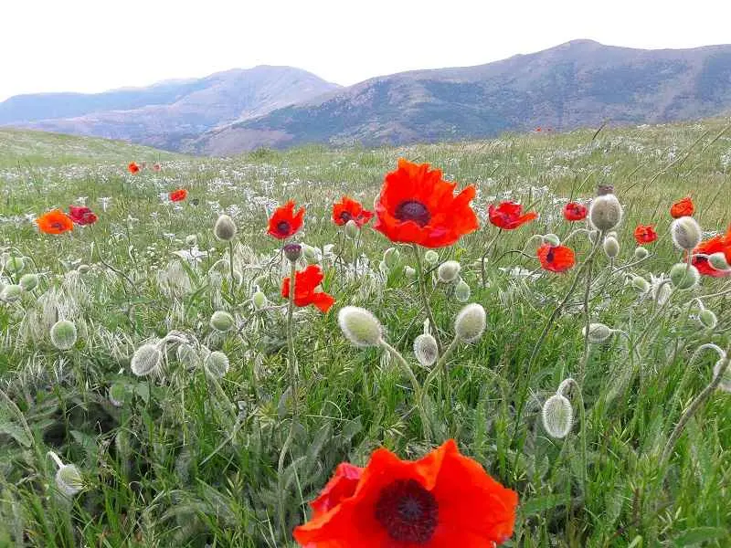 ۲۰ تا از بهترین روستاهای گیلان برای سفر