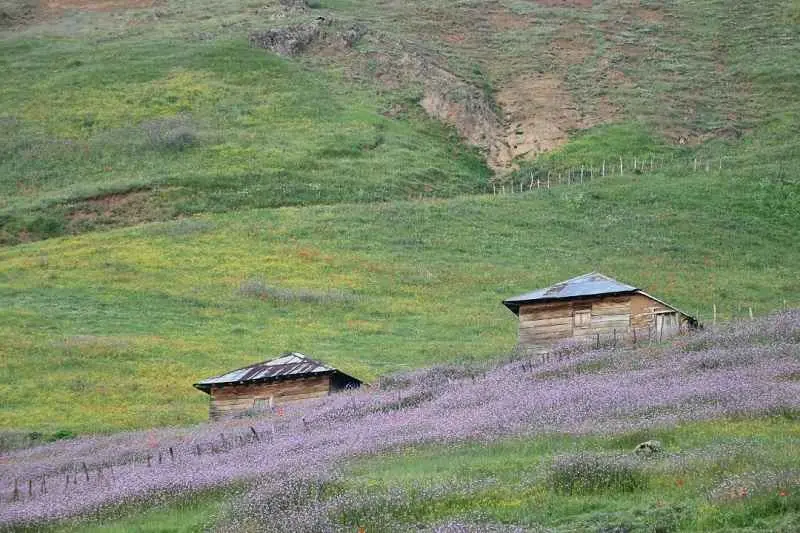 ۲۰ تا از بهترین روستاهای گیلان برای سفر