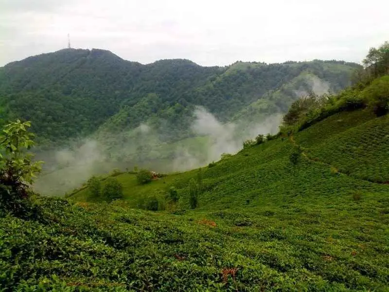 ۲۰ تا از بهترین روستاهای گیلان برای سفر