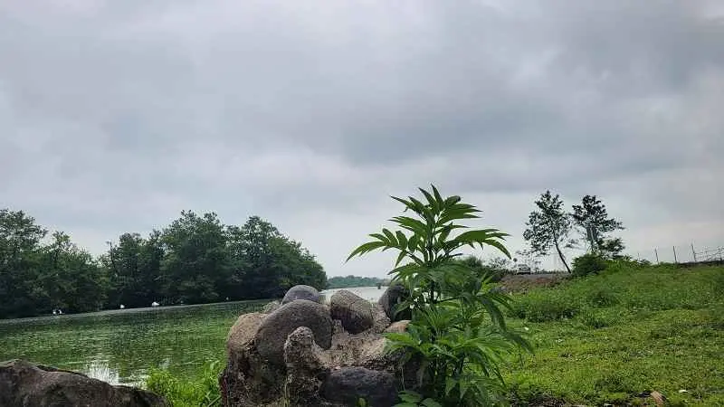 ۲۰ تا از بهترین روستاهای گیلان برای سفر