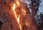 مهار آتش سوزی جنگل ها و مراتع پیچاب در باشت