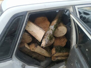 قاچاق هزار کیلوگرم چوب جنگلی با پراید+ فیلم