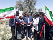 ۶۵ پروژه بخش کشاورزی در هامون سیستان و بلوچستان افتتاح شد