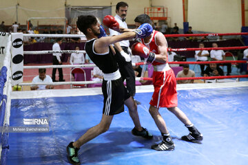 Provincial boxing games in northeast Iran