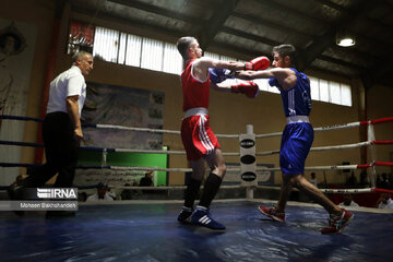 Provincial boxing games in northeast Iran