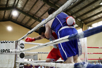 Provincial boxing games in northeast Iran