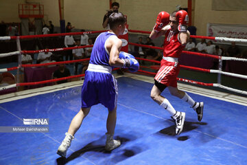 Iran Boxing IRNA English - Provincial boxing games in northeast Iran