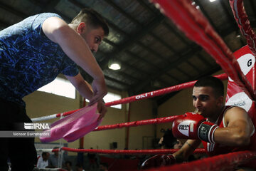 Provincial boxing games in northeast Iran