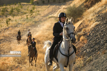 Fête du cheval kurde à Sanandaj