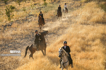 Fête du cheval kurde à Sanandaj